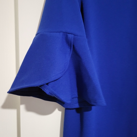 Pinkblush Maternity Dress - Picture 3 of 6